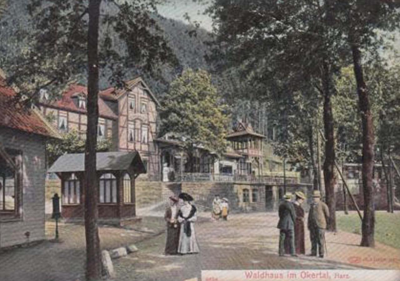 Waldhaus Im Okertal Hotel Goslar Exterior foto